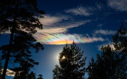 Iridescent clouds (Nacreous Clouds) over silhouetted trees royalty free stock photo Iridescent clouds (Nacreous Clouds) over silhouetted trees royalty free stock photo