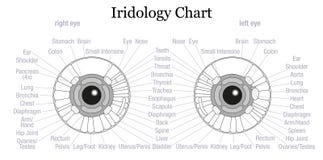 Iris Diagnosis Chart Eye Outline illustration libre de droits Iris Diagnosis Chart Eye Outline illustration libre de droits