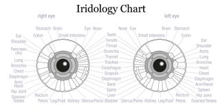 What Is Iridology Chart