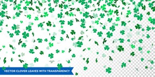 Irländsk växt av släktet Trifoliumsidamodell för den helgonPatrick Day treklövern på genomskinlig vektorbakgrund vektor illustrationer Irländsk växt av släktet Trifoliumsidamodell för den helgonPatrick Day treklövern på genomskinlig vektorbakgrund vektor illustrationer