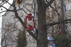 Iron lanterns hanged by the tree branches in the Upper town, part of the Zagreb city, creating wonderful Christmas atmosphere of