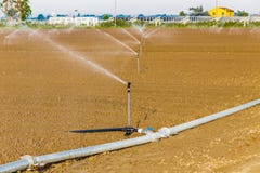 Irrigation des champs cultivés photos libres de droits Irrigation des champs cultivés photos libres de droits
