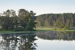 Isla con los árboles de pino en un río septentrional tranquilo de Minnesota foto de archivo Isla con los árboles de pino en un río septentrional tranquilo de Minnesota foto de archivo