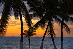 Isla Mujeres-zonsondergang van het eiland de Caraïbische strand stock afbeelding Isla Mujeres-zonsondergang van het eiland de Caraïbische strand stock afbeelding