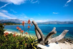 Island Beauty 2 Royalty Free Stock Photos Island Beauty 2 Royalty Free Stock Photos