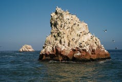 Islas del guano - Islas Ballestas, islas de Perú imagen de archivo libre de regalías Islas del guano - Islas Ballestas, islas de Perú imagen de archivo libre de regalías