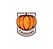 Isolated abstract orange color round shape pumpkin logo on white background, farming logotype,autumn vegetable vector Royalty Free Stock Photo Isolated abstract orange color round shape pumpkin logo on white background, farming logotype,autumn vegetable vector Royalty Free Stock Photo