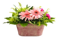 Isolated Flower Arrangement Royalty Free Stock Photos Isolated Flower Arrangement Royalty Free Stock Photos