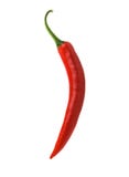 Isolated Red Chili Pepper Stock Photos