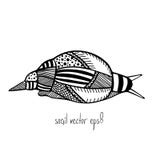 Isolated snail in doodling style Stock Image Isolated snail in doodling style Stock Image