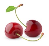 Isolated Sweet Cherries Stock Image
