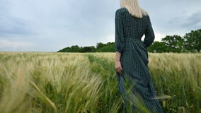 Isolato su bianco Una giovane ragazza bionda in un vestito verde sciolto senza fretta cammina lungo un campo di grano verde Il co archivi video Isolato su bianco Una giovane ragazza bionda in un vestito verde sciolto senza fretta cammina lungo un campo di grano verde Il co archivi video