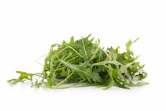 Isolerad Arugula fotografering för bildbyråer Isolerad Arugula fotografering för bildbyråer