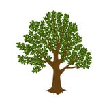 isolerad treewhite för bakgrund green vektor illustrationer isolerad treewhite för bakgrund green vektor illustrationer