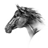 Isolerad utdragen st?ende av en sida f?r h?sthuvud stock illustrationer Isolerad utdragen st?ende av en sida f?r h?sthuvud stock illustrationer