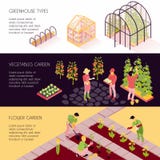 Isometric εμβλήματα θερμοκηπίων διανυσματική απεικόνιση Isometric εμβλήματα θερμοκηπίων διανυσματική απεικόνιση