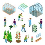 Isometric σύνολο θερμοκηπίων ελεύθερη απεικόνιση δικαιώματος Isometric σύνολο θερμοκηπίων ελεύθερη απεικόνιση δικαιώματος