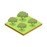 Isometrisk symbol 3D för Apple träd royaltyfri illustrationer Isometrisk symbol 3D för Apple träd royaltyfri illustrationer
