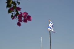 Israeli National flag waving at Mount of Olive in Jerusalem, Israel with colorful tree leaves in front stock photography Israeli National flag waving at Mount of Olive in Jerusalem, Israel with colorful tree leaves in front stock photography