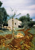 Istria, provincie van Kroatië royalty-vrije stock foto Istria, provincie van Kroatië royalty-vrije stock foto