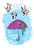 It S Raining Cats And Dogs Autumn Card. Royalty Free Stock Photo It S Raining Cats And Dogs Autumn Card. Royalty Free Stock Photo