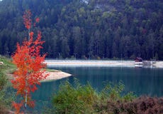 Italia, Trentino Alto Adige: Otoño en el pequeño lago imagen de archivo libre de regalías Italia, Trentino Alto Adige: Otoño en el pequeño lago imagen de archivo libre de regalías