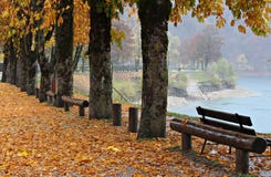 Italia, Trentino: Los colores del otoño en el lago Ledro fotos de archivo libres de regalías Italia, Trentino: Los colores del otoño en el lago Ledro fotos de archivo libres de regalías