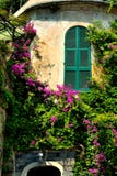 Italian buildings with window shutters and pink bougainvilleas Royalty Free Stock Image Italian buildings with window shutters and pink bougainvilleas Royalty Free Stock Image