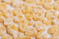 Italian uncooked homemade potato gnocchi with flour. royalty free stock photos Italian uncooked homemade potato gnocchi with flour. royalty free stock photos