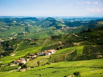 italian vineyards italian vineyards