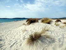 Italien, Sardinien, Carbonia Iglesias, Porto Pino, die Dünen setzen auf den Strand stockbild Italien, Sardinien, Carbonia Iglesias, Porto Pino, die Dünen setzen auf den Strand stockbild
