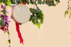 Italiensk tamburin med vinrankan, Salento, Apulia, tamburin för pizzica och tarantella royaltyfria bilder Italiensk tamburin med vinrankan, Salento, Apulia, tamburin för pizzica och tarantella royaltyfria bilder