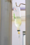 IV die fles met infusie in bloedvat voor traktatie wordt geplaatst dehydrat royalty-vrije stock afbeelding IV die fles met infusie in bloedvat voor traktatie wordt geplaatst dehydrat royalty-vrije stock afbeelding