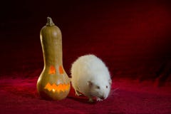 Jack-o'-lantern en rat royalty-vrije stock afbeelding Jack-o'-lantern en rat royalty-vrije stock afbeelding