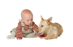 Jack russel terrier and baby royalty free stock photo Jack russel terrier and baby royalty free stock photo