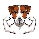 Jack Russell Terrier z muscule wektor ilustracja wektor Jack Russell Terrier z muscule wektor ilustracja wektor
