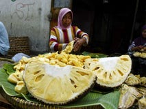 Jackfruits stock images Jackfruits stock images