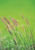 jahreszeit stockbild jahreszeit stockbild
