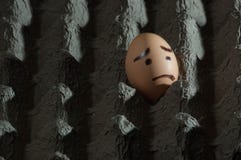 Jajko z smutną twarzą w jajecznej tacy obrazy stock Jajko z smutną twarzą w jajecznej tacy obrazy stock