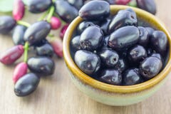 Jambolan plum, Java plum royalty free stock images Jambolan plum, Java plum royalty free stock images