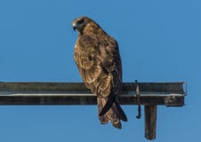 Jammu, Kaschmir und Ladakh - eine erstaunliche Anzeige der erstaunlichen Natur lizenzfreie stockfotos Jammu, Kaschmir und Ladakh - eine erstaunliche Anzeige der erstaunlichen Natur lizenzfreie stockfotos
