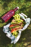 Jamon и сэндвичи овоща в корзине, виноградинах и соке ягоды, на открытом воздухе пикнике стоковое изображение rf Jamon и сэндвичи овоща в корзине, виноградинах и соке ягоды, на открытом воздухе пикнике стоковое изображение rf