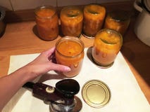 Jamón de enlatado casero Atasco de relleno del melocotón, del melón, de la piña y del albaricoque del ama de casa en un vidrio Es fotos de archivo Jamón de enlatado casero Atasco de relleno del melocotón, del melón, de la piña y del albaricoque del ama de casa en un vidrio Es fotos de archivo