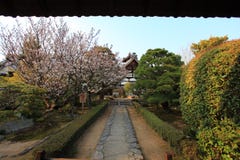 Japanese garden in Arashiyama,Kyoto,Japan