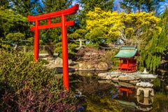 Japanese Garden Royalty Free Stock Photos Japanese Garden Royalty Free Stock Photos