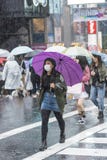 Japanese girl with purple umbrella Tokyo