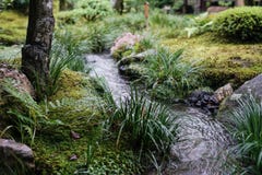 Japanese green garden and little canal Stock Image Japanese green garden and little canal Stock Image
