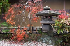 Japanese Lantern And Autumnal Maple Tree Stock Photo
