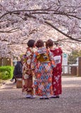 Japanese selfies by ladies stock image Japanese selfies by ladies stock image