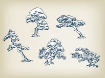 Japanische Kiefernvektorillustrations-Bühnenbildelemente stock abbildung Japanische Kiefernvektorillustrations-Bühnenbildelemente stock abbildung